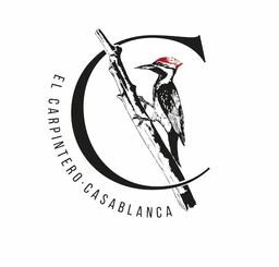 https://www.portalterreno.com/imagenes/logo_proyectos/0806045447_LogoSecundario_1_Carpintero_Fondo_Blanco.jpg