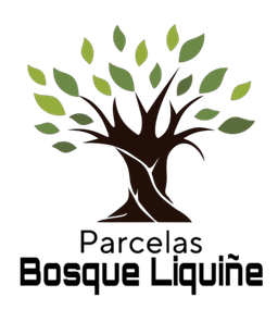 https://www.portalterreno.com/imagenes/logo_proyectos/1505033723_Logo_Parcelas_Bosque_Liquiñe_PNG.png